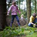 Правила безопасности в лесу для взрослых и детей