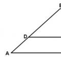 Ορθογώνιο τρίγωνο