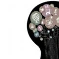 How to develop intelligence - the best exercises and advice from psychologists