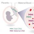 Τεστ DNA (τεστ αίματος) για τον προσδιορισμό του φύλου του παιδιού