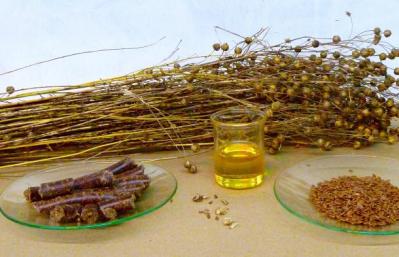 Flaxseed oil - benefits and harm